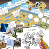 Tundra Habitat Biome Mini-Study | Matching, Full Color Cards, Animals & Plants