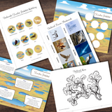 Tundra Habitat Biome Mini-Study | Matching, Full Color Cards, Animals & Plants