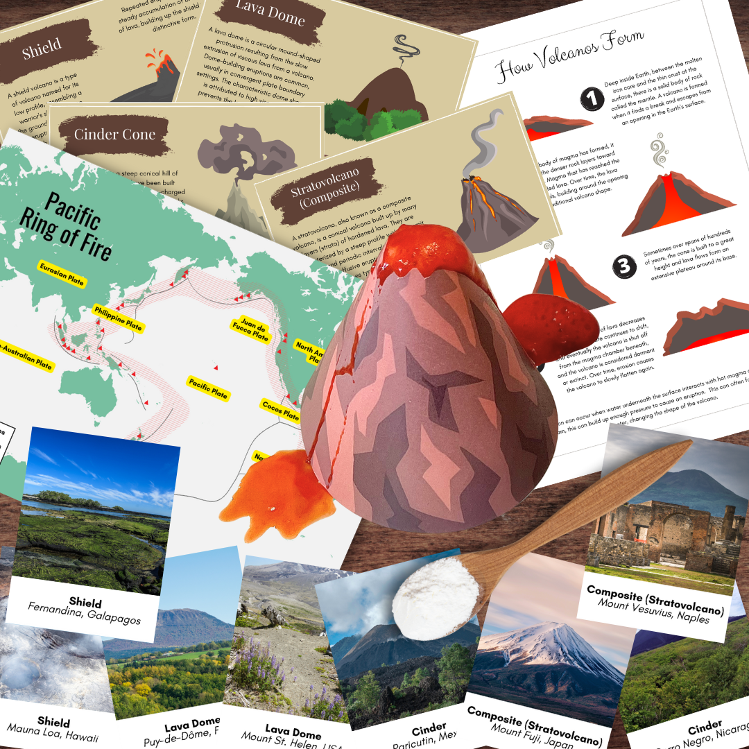 Montessori-Inspired STEM Volcano Study | Flashcards, Science Experimen ...