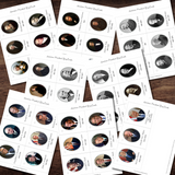 Montessori-Inspired American USA Presidents Full Color Ring Cards | 45 Presidents