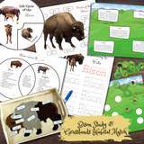 Native America Activity Book: Hands-on Activities, Experiments & Learning Resources!