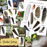 Native America Activity Book: Hands-on Activities, Experiments & Learning Resources!