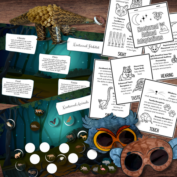 NOCTURNAL Animal Study Flip-Book, Matching Puzzle & Poster, Simulation Glasses & Pinecone Pangolin