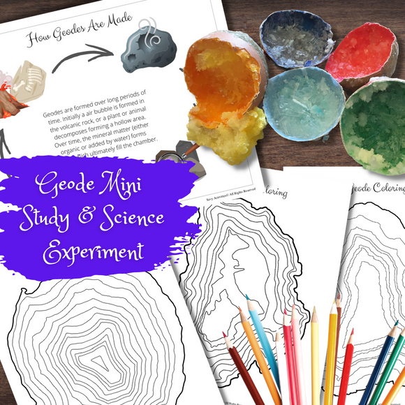 GEODES Geode Poster, Science Experiment & Coloring Activity | Geology