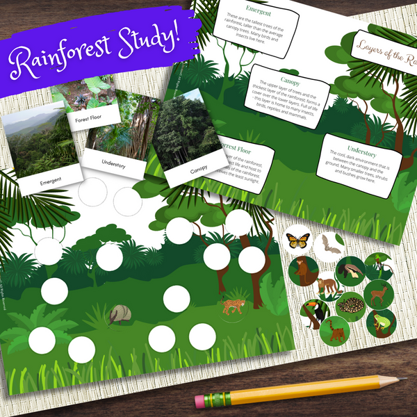 Biome Box Rainforest - Objects & Three/Four Part newest Cards