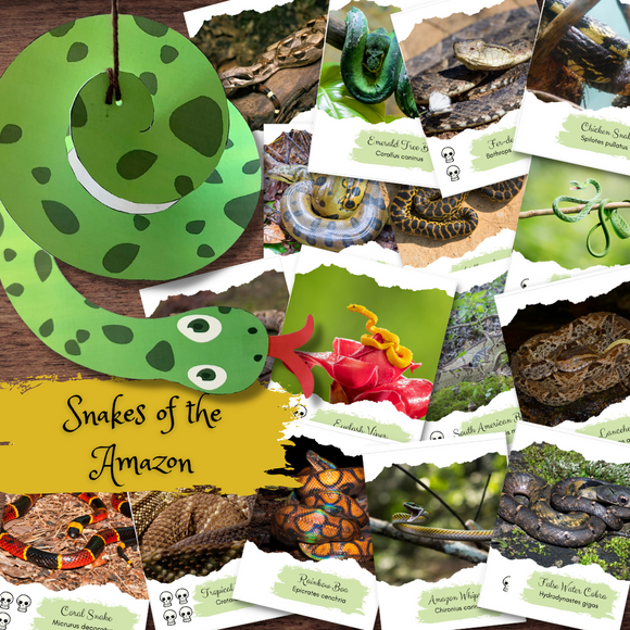 Montessori-Inspired Amazon Snake Species Flash Cards & Anaconda Craft Printable