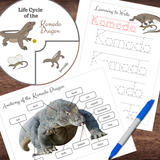 INDONESIA Activity Book: Hands-on Activities, Models, Experiments & Learning Resources!