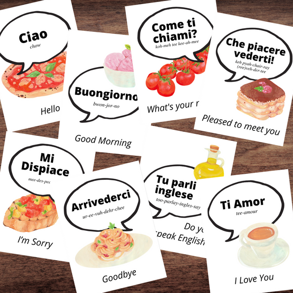 ITALIAN Italy Language Phrase Flash Cards Illustrated w/Pronunciations *Full Color*