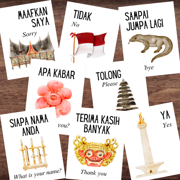 Indonesian Asian Language EIGHT Phrases Phase Flash Cards Illustrated *Full Color*