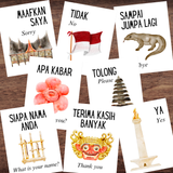 Indonesian Asian Language EIGHT Phrases Phase Flash Cards Illustrated *Full Color*