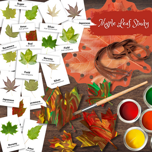MAPLE Leaf Montessori 3-Part Cards, Lacing, Color Match & Process Art Craft