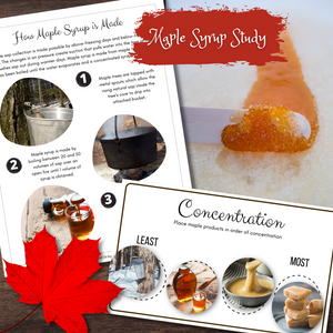 MAPLE Syrup Process Poster | Dilution vs. Concentration | Maple Taffy Recipe