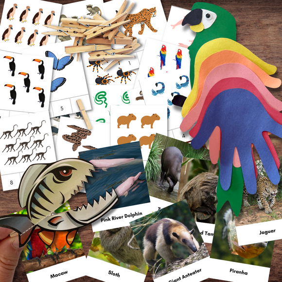 Amazon Rain Forest Animals Fauna Montessori 3-Part Cards, Macaw & Piranha Craft