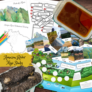 AMAZON River Study Labeling Tributaries Habitat Animals Features & Experiments