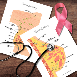 *FREEBIE* Anatomy Human Breast - Full Color Anatomically Correct Labeled Posters | Breast Cancer Awareness