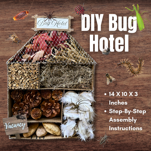 BUG HOTEL Pattern & Decorative Printable Template w/Step-by-Step Instructions