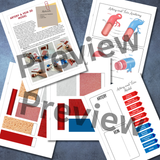 VASCULAR Anatomy 3D VEIN & ARTERY Model - Full Color Anatomically Correct Paper Model w/Labels