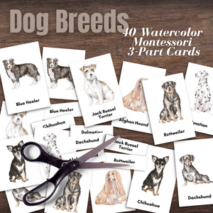 Montessori-Inspired DOG BREEDS Canine Watercolor 3-Part Cards *40 Breeds*