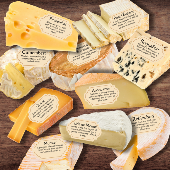 FRENCH France Cheese Info Cards w/Full Color Illustrations *10 Varieties*