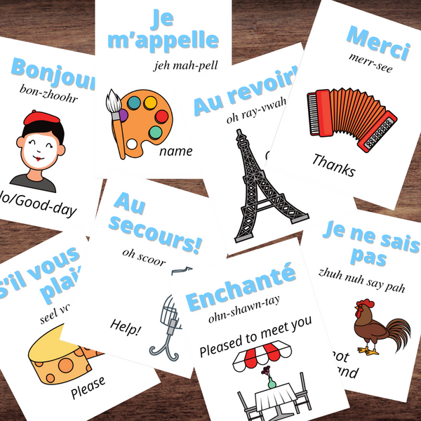 France FRENCH Language Phrase Flash Cards Illustrated w