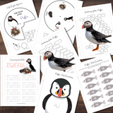 Montessori Inspired Puffin Mini-Study Life Cycle, Parts of, Tracing & Counting Bundle