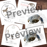 Montessori-Inspired KOMODO DRAGON Life Cycle, Anatomy & Word Tracing Study