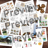 INDONESIA Asia Cultural Crafts & Activities | Congkak, Angklung, Ketupat & Kuda Lumping