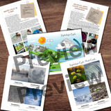 Hydrologic (Water) Cycle Experiment, Flash Cards, Poster & Water Color Changing Experiment