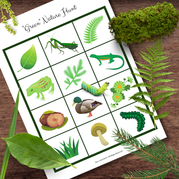 *FREEBIE* St. Patrick's Day Themed GREEN Outdoor Scavenger Hunt Card