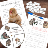 Life Cycle, Anatomy & Word Tracing of Japanese MACAQUE Snow Monkey Study