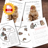 Life Cycle, Anatomy & Word Tracing of Japanese MACAQUE Snow Monkey Study