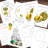 Montessori-Inspired DURIAN Fruit Plant | Life Cycle, Anatomy, Tracing & Felt Puzzle