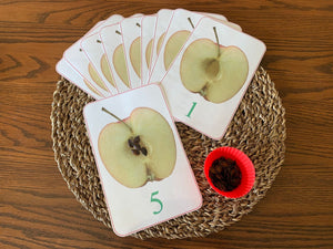 APPLE Seed Counting 1-10 Activity - Hand's On Learning!