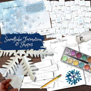Snowflake Formation Designs Poster Matching Labeling Craft Bundle