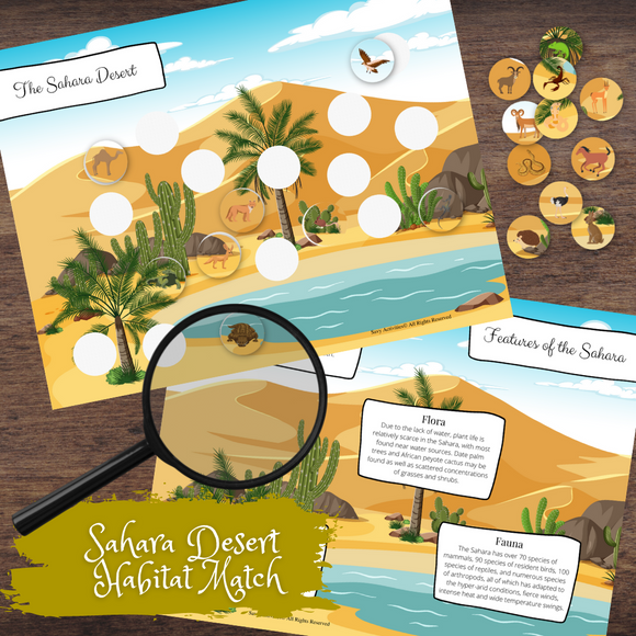 Sahara Desert Habitat Biome Interactive Matching Study FULL COLOR Information Poster