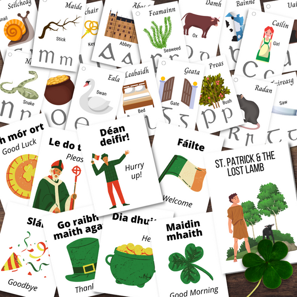IRELAND Irish Gaelic Alphabet Phrase Language Cards Mini Book St Patrick's Story