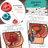 Human Anatomy & Health Activity Book: Hands-on Activities, Experiments & Learning Resources!