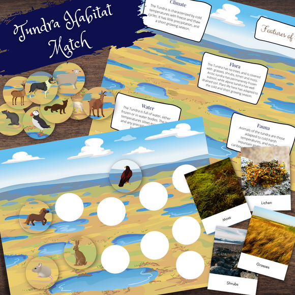 Tundra Habitat Biome Mini-Study | Matching, Full Color Cards, Animals & Plants