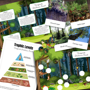 Temperate Deciduous Forest BIOME Habitat Matching Animal & Trophic Levels Poster