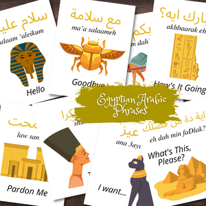 Egyptian EGYPT Arabic Language Phrase Flash Cards *Full Color*