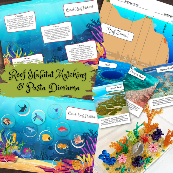 CORAL REEF Habitat Biome Study Matching Puzzle, 3-Part Cards, Diorama Activity