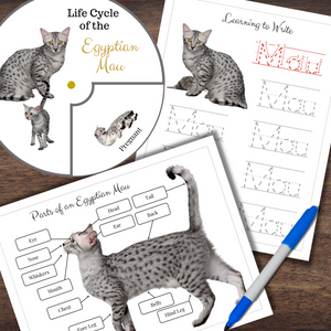 Montessori-Inspired Egyptian Mau Cat | Life Cycle, Anatomy & Tracing
