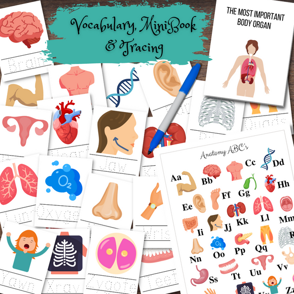Human Anatomy Vocabulary ABCs, Tracing & Mini-Book Story