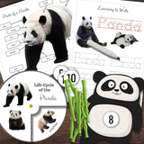 CHINA Chinese Country Cultural Study | ASIA Continent | Hands-on Activities!