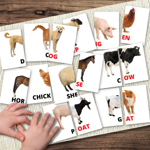 SPRING Farm Animal Syllable Match - Early Reading Montessori Inspired