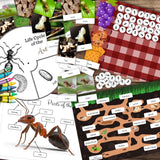 Montessori Inspired ANT Ants Mini Unit Study Bundle Counting, Life Cycle, Parts