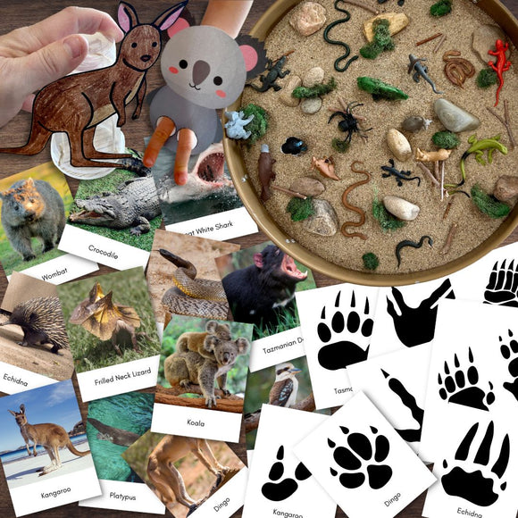 Animals of AUSTRALIA Oceania Fauna Flashcards Tracks Footprints Flashcards Craft