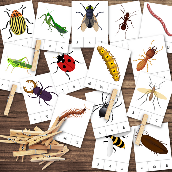 Montessori-Inspired Full Color BUG Insect Leg Counting Clip Cards