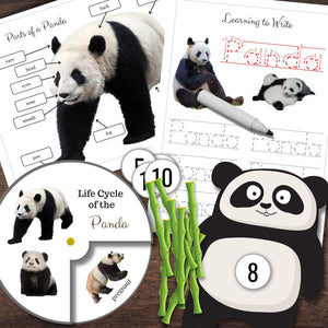 Montessori-Inspired Panda Life Cycle, Anatomy, Tracing & Counting Activities