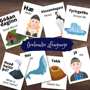Full Color Icelandic Language Phrase Flashcards Cards Iceland Educational